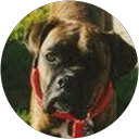 Juana cm6 profile picture